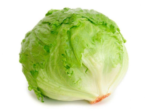 Lechuga Repollada Fresca LB