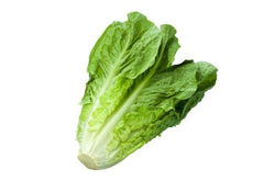 Lechuga Romana Fresca Paquete